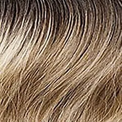 BALAYAGELIGHTASHBLONDE