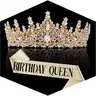 Gold Crown for Women Crystal Princess Tiaras Rhinestone Queen Headband Wedding Bridal Hair Accessories Birthday Prom Pageant Party Coming of Age Ceremony Photo Props