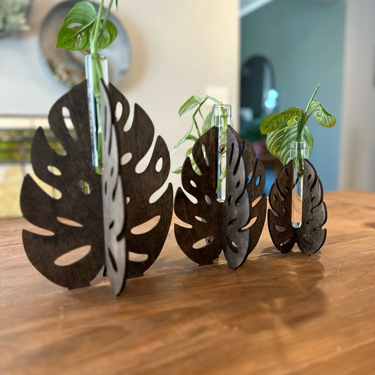 MONSTERA LEAF PROPAGATION STATION