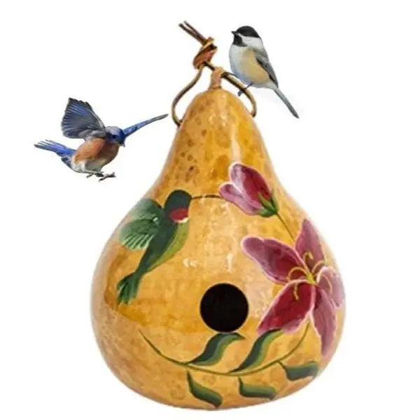 HUMMINGBIRD GOURD BIRDHOUSE - Amish Hand Painted Bird House USA