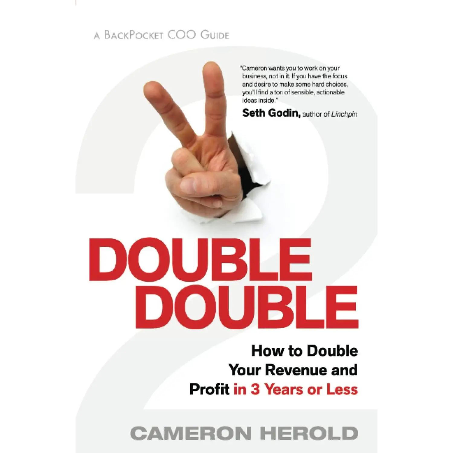 Double Double: How to Double Your Revenue and Profit in 3 Years or Less