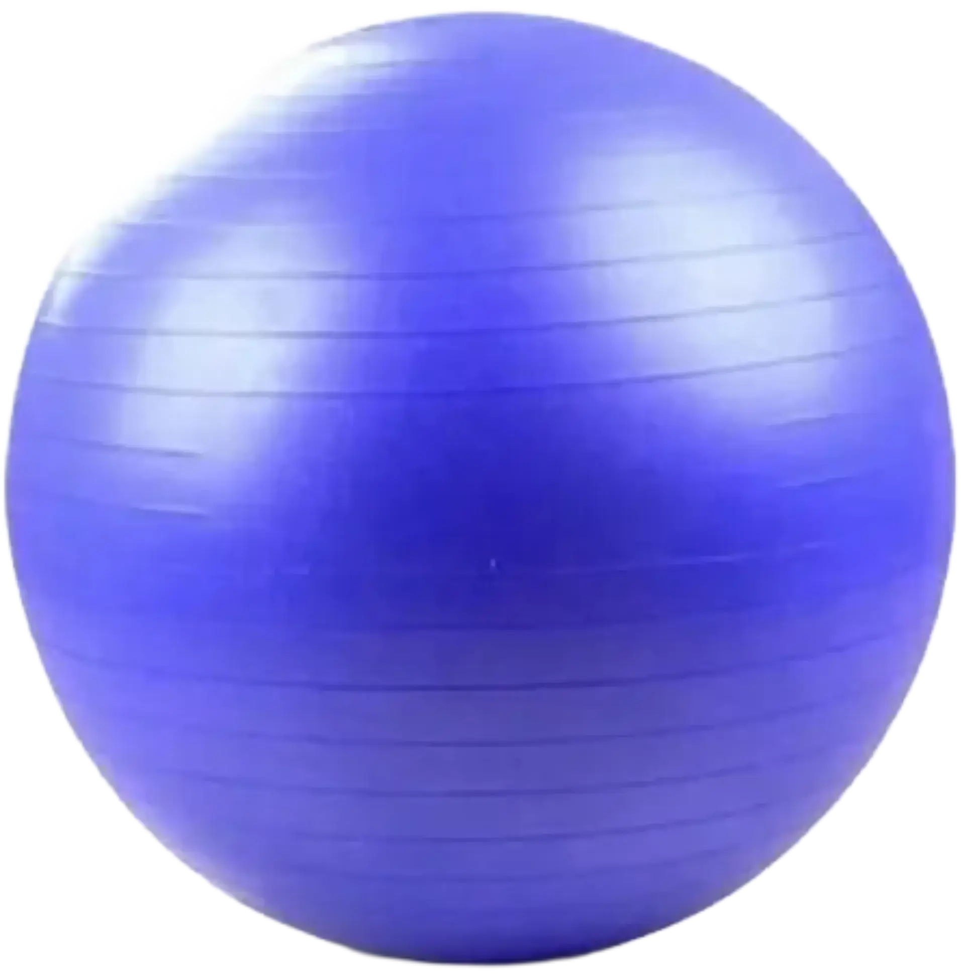65cm Anti-Burst Stability Exercise Ball, Extra Thick PVC with Non-Slip Grip, 2200 lbs Rated for Gym Workouts & Home Training, Gym Workout, Home Training Equipment, Yoga Exercise Ball, Exercise Equipment