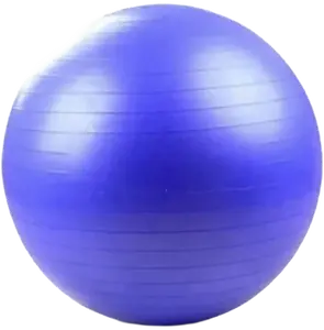 French Fitness Anti Burst Stability Exercise Ball 65cm (New)