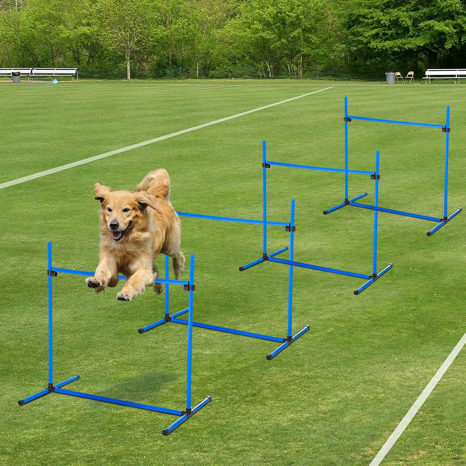 4-Piece Dog Agility Starter Kit