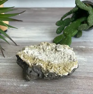 Calcite Geodes 4.5-6"