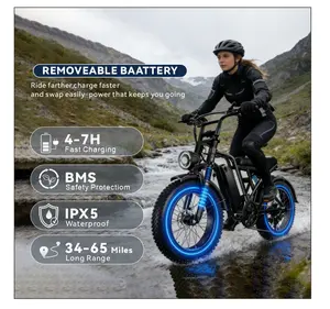 Electric Bike for Adults, Full Suspension, 48V13Ah Removable Battery, Up to 28MPH & 46.6 Miles (PAS), 1000W Ebike with All-Terrain 4.0" Fat Tires, Cruise Control, UL Certified, Moped E-Bike