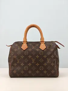 Pre-owned PVC coated canvas Clutches & Wristlets Louis Vuitton Speedy 25 Monogram canvas Micro chip