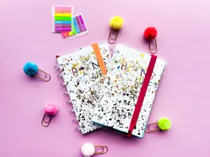 MINI DISCBOUND ADHD PLANNER UNDATED PLANNER