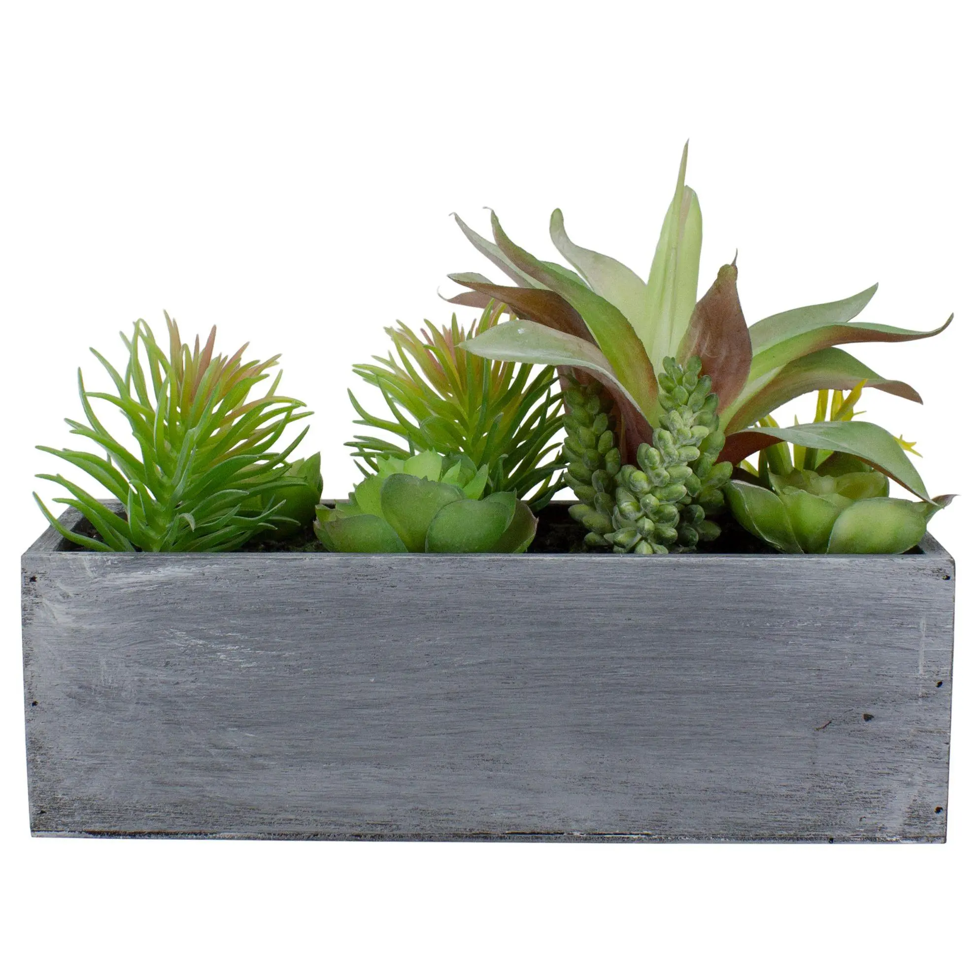 Northlight 12" Artificial Succulent Plants inPlanter Northlight 12" Artificial Succulent Plants inPlanter
