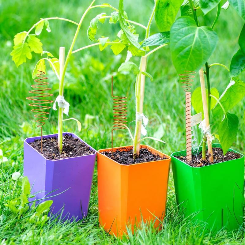 NACHLYNN 6-Pack Electroculture Plant Stakes – Soft Copper Wire & Raw Wood Garden Stakes, Clockwise-Wound (Ideal for Northern Hemisphere), with Connectors & Replacement Wooden Sticks, Beginner-Friendly for Thriving Plants/Vegetables