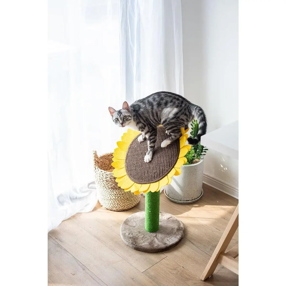 Catry Sunflower 23.2-in Sisal Cat Scratching Post with Toy 13.2 x 13.2 x 23.2 inches With scratching posts
