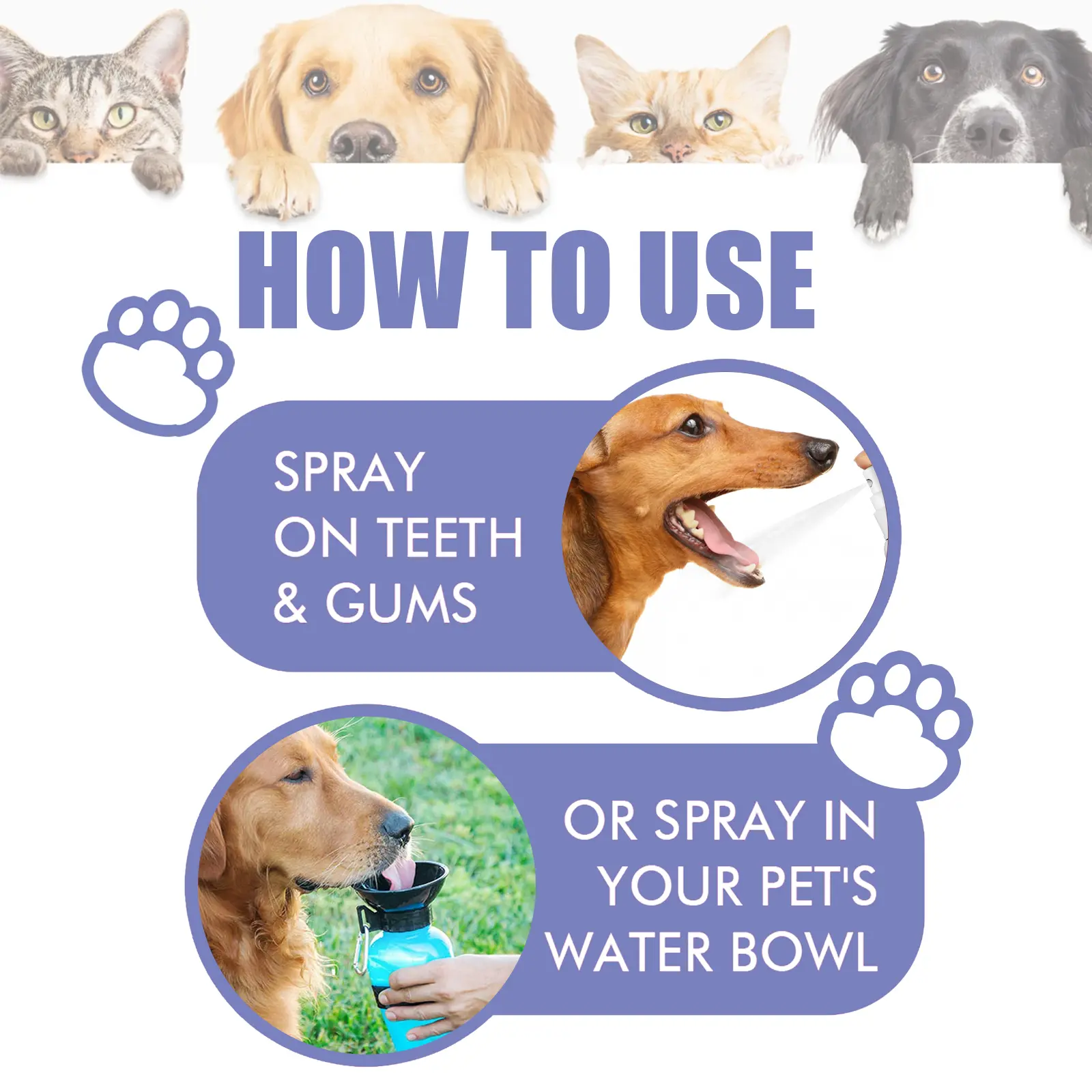 Pet Dogs & Cats Dental Care Spray, Vet-Recommended Breath Freshener & Teeth Cleaning Spray, Eliminate Bad Breath, Relieve Gum Redness & Infections, Reduce Plaque & Tartar, No Brushing