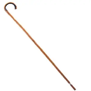 Cane - 36" - Charlie Chaplin - 100 Days - Waldo - Costume Accessory