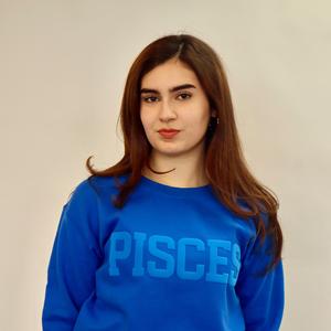 Royal Blue Zodiac Puff Print Top Unisex, Choose T-Shirt, Sweatshirt or Hoodie, Astrology Apparel