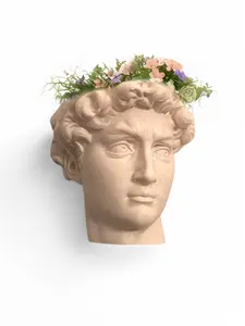 Statue of David Wall Planter Bust, Modern Face Vase for Succulents, Cacti, Air Plant and Vines - Living Room, Office, Bedroom, or Bathroom Wall Decor