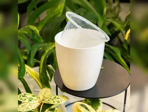 Self Watering Round Plastic Planter (4 pots per order)