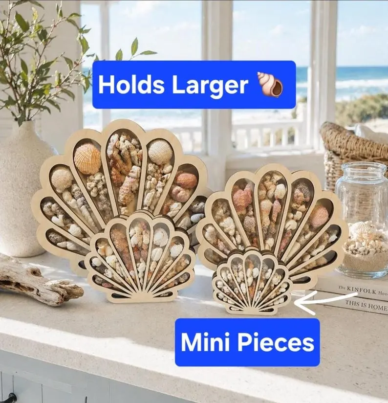 Seashell Shadow Box "Scallop" Beach Glass Display 1