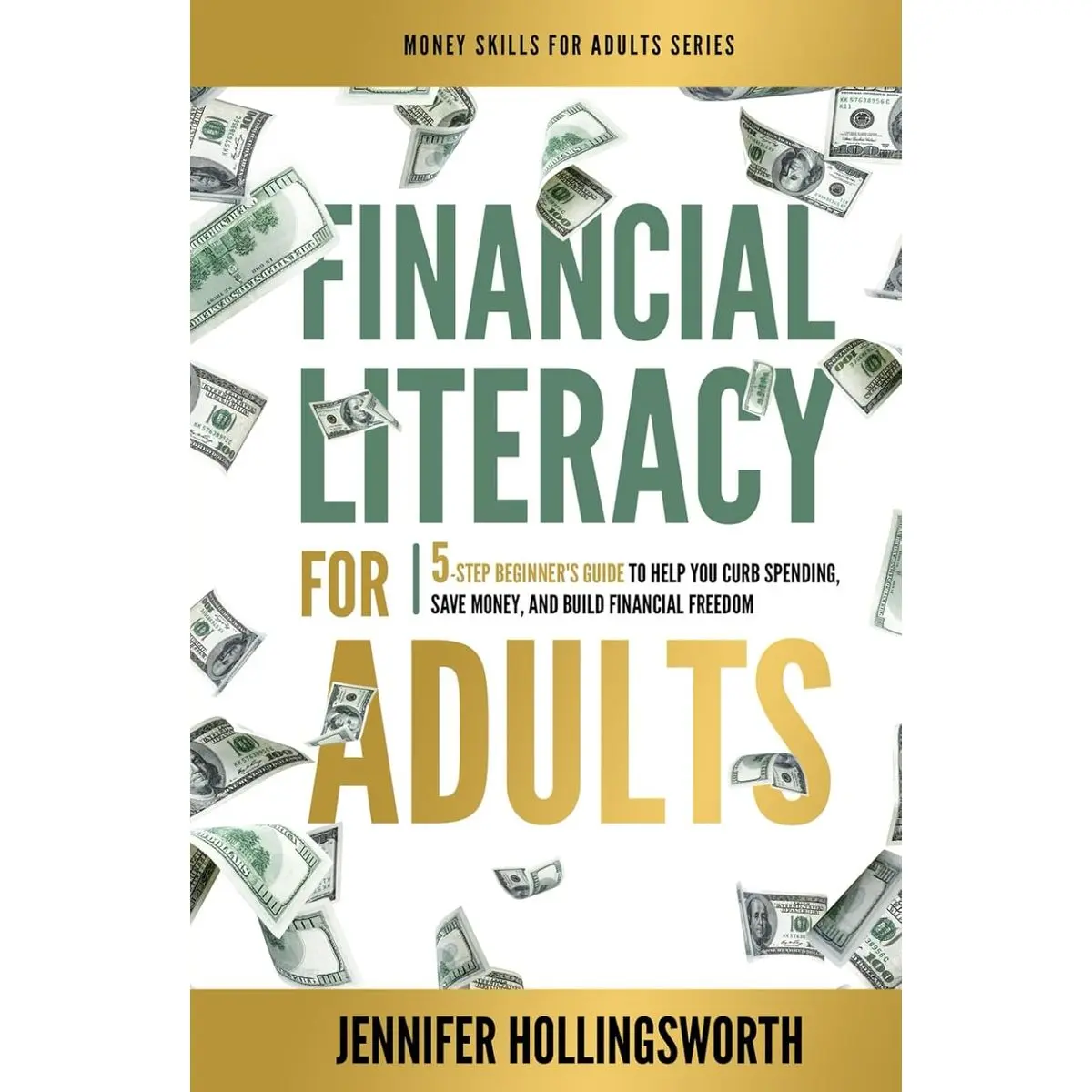 Financial Literacy for Adults: 5-Step Beginner's Guide to Help You Curb Spending, Save Money, and Build Financial Freedom (Money Skills for Adults) Hardcover – May 29, 2024