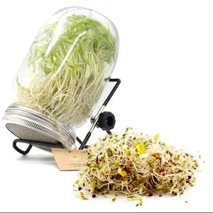 Germination Tank with Stainless Steel Germination Stand Mesh Cover Wide Mouth Mason Jar Standard Mouth Glass Sprouting Jar