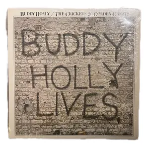 Buddy Holly/Lives 20 Golden Hits Vinyl LP