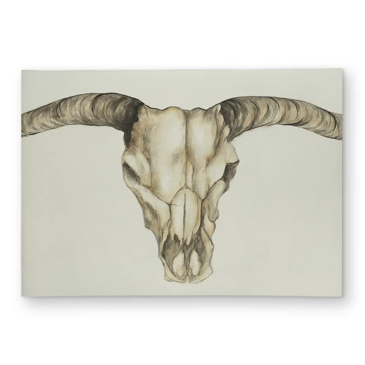 360 stand Long Horn Skull Print Rustic Look Rug, 5x7 ft Rectangle Weatherproof Indoor/Outdoor Carpet, Living Room Home Decor, Skeleton Area Rugs, Decorative Rug, Polyester