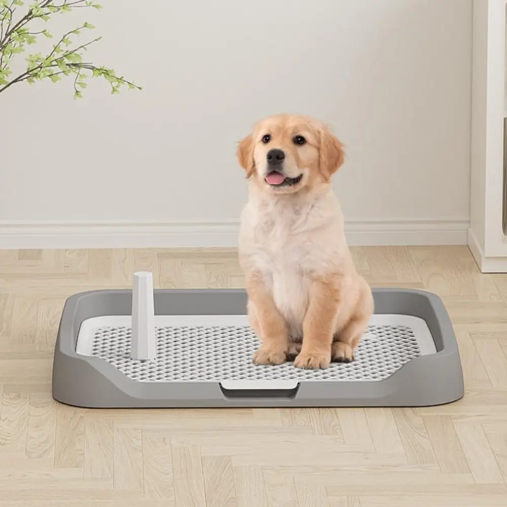 1counts dog toilet, small and medium-sized dog splash proof, dog urinal with flushing function, small dog toilet, Puppy Potty Tray