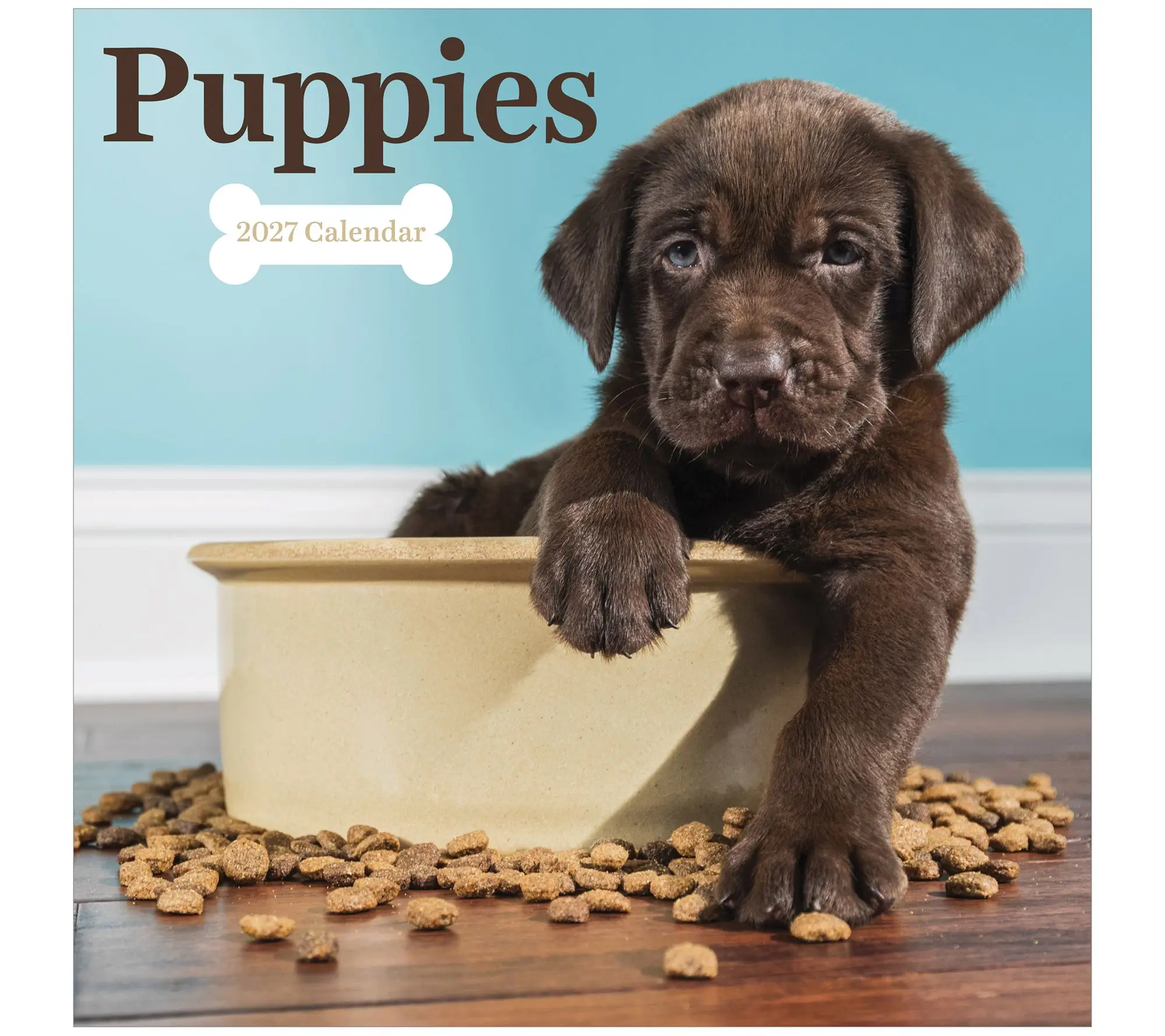 TF Publishing 2027 Puppies Wall Calendar