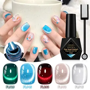 FOURLILY 6PCS Magnetic Cat Eye Gel Nail Polish Kit - 5 Colors Cat-Eye Gel & Dual-Head Magnet, 28+ Days Long-Lasting, 2026 Spring Summer Trend Nail Art, Valentine’s Day Romantic Nails, Cosmetic Manicure, DIY Manicure Kit for Women & Girls
