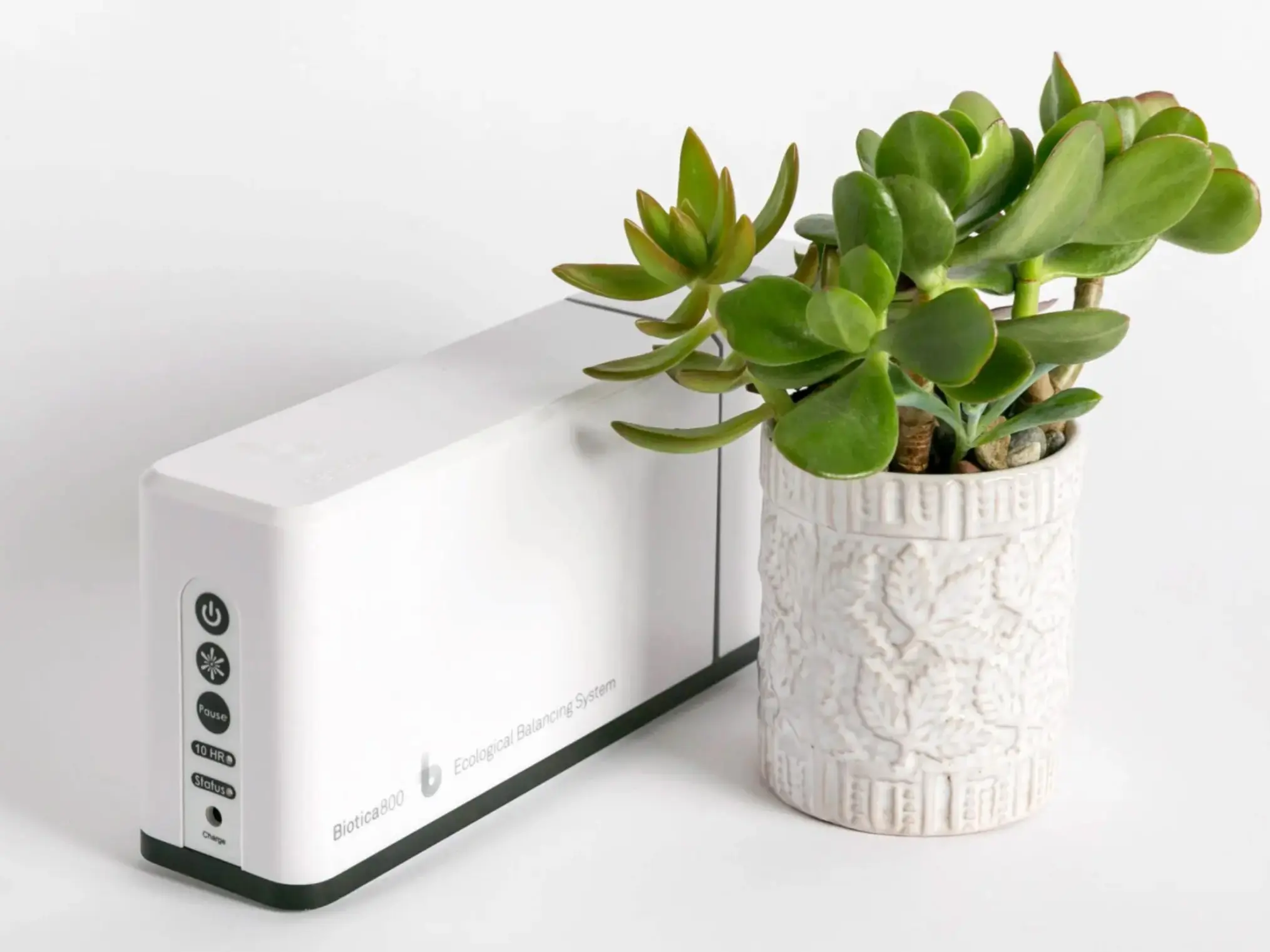 Biotica 800