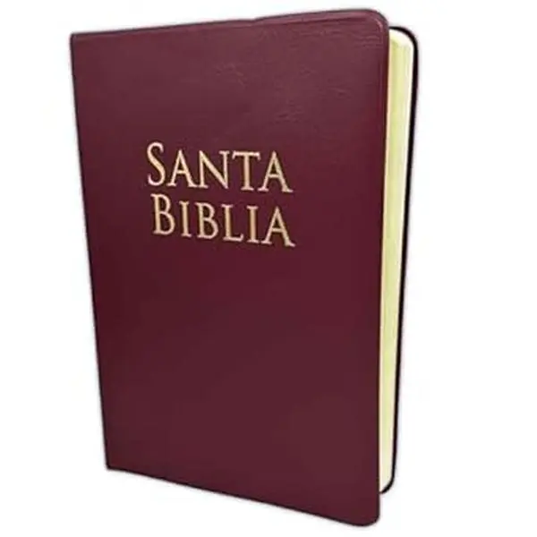 Biblia RVR 1960 Letra Grande Tamaño Manual Vinilo Borgoña Vinyl