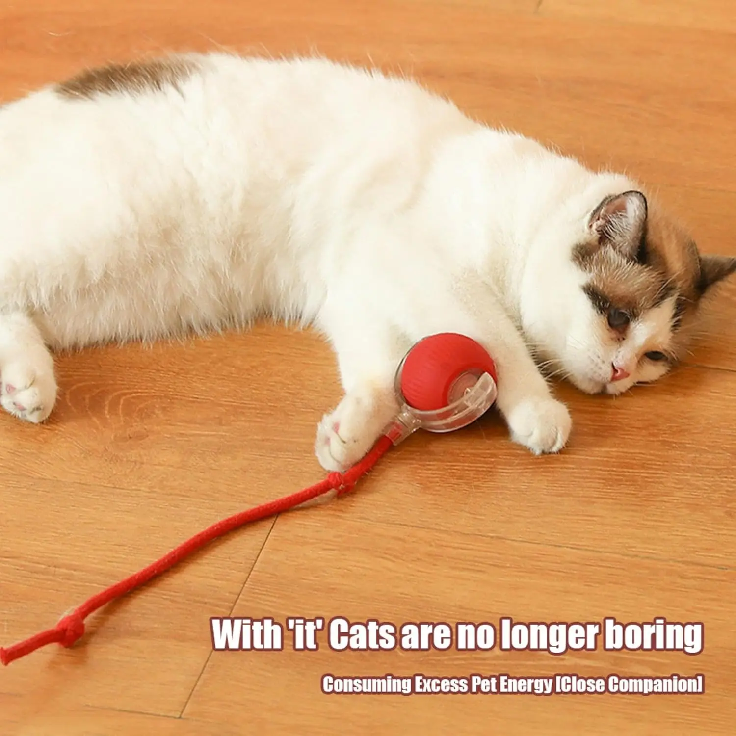 Red Smart Automatic Rolling Pet Ball, Electric Interactive Toy for Small & Large Dogs Cats Indoor Play