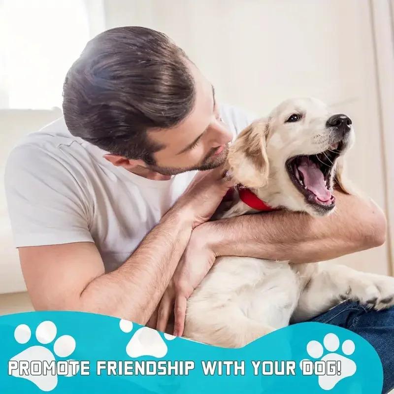 3-in-1 Set Dental Chew Stick Cooling Toothbrush Toy Freezable Ice Chew Toy For Gum Massage Small Medium Breeds Outdoor Bungee 1-Pack 3-in-1 Set Dental Chew Stick Cooling Toothbrush Toy Freezable Ice Chew Toy For Gum Massage Small Medium Breeds Outdoor Bungee 1-Pack