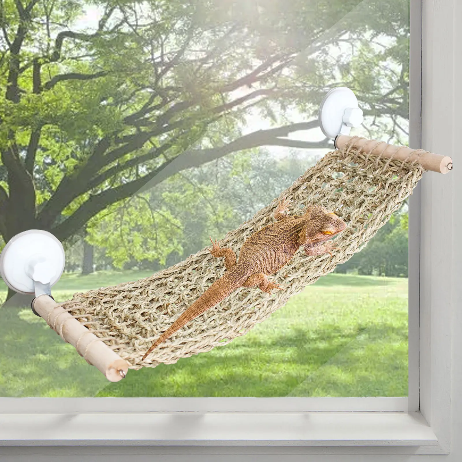 21.6 x 7.8 inch Seagrass Bearded Dragon Hammock for Window, Large Lizard Window Perch, Reptile Hammock Perch with Powerful Suction Cups for Lizard, Leopard Gecko, Chameleon