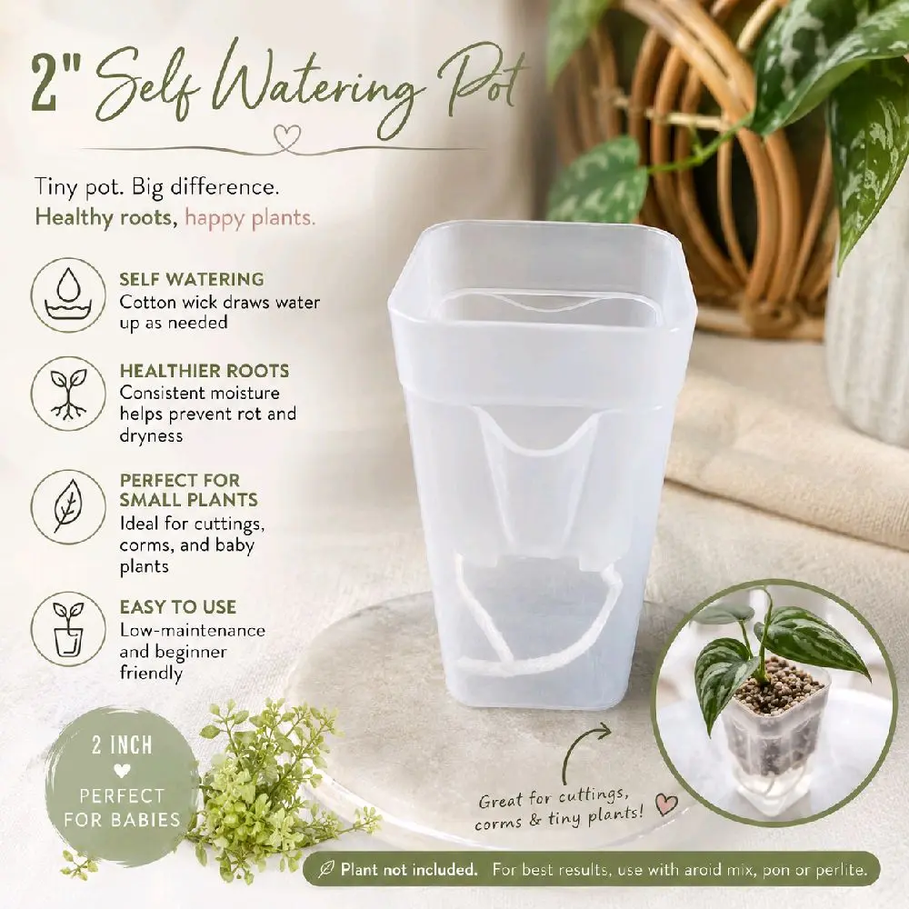 5 2-in Square Self-Watering Garden Pots, Automatic Plant Waterer Cachepots, Plastic Containers with Moisture Control, Minimalist Design for Beginners