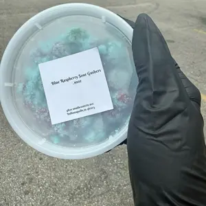 Sour blue raspberry GUSHERS Sour blue raspberry GUSHERS