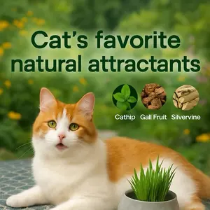 Catnip Toys Balls, Extra energy Ball, Edible cat Toys for cats Licking, healthy teeth, cats wall treats (different colors to choose)