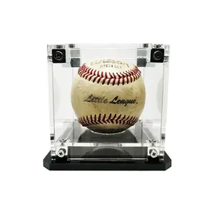 Baseball Display Case