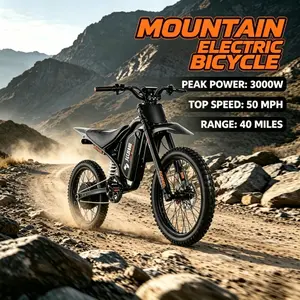 QF200 Mountain electric bicycle | Peak Power 3000W | Maximum Speed 50 mph | Range 40 Miles | 60V32AH bike big wheel Fat Tire