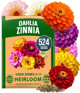 HOME GROWN Zinnia Dahlia Seeds Pack for 2026 Non GMO 524 Flower Seeds | Vibrant Zinnia Elegans for Pollinator Gardens, Borders & Containers | Easy-to-Grow Outdoor Blooms
