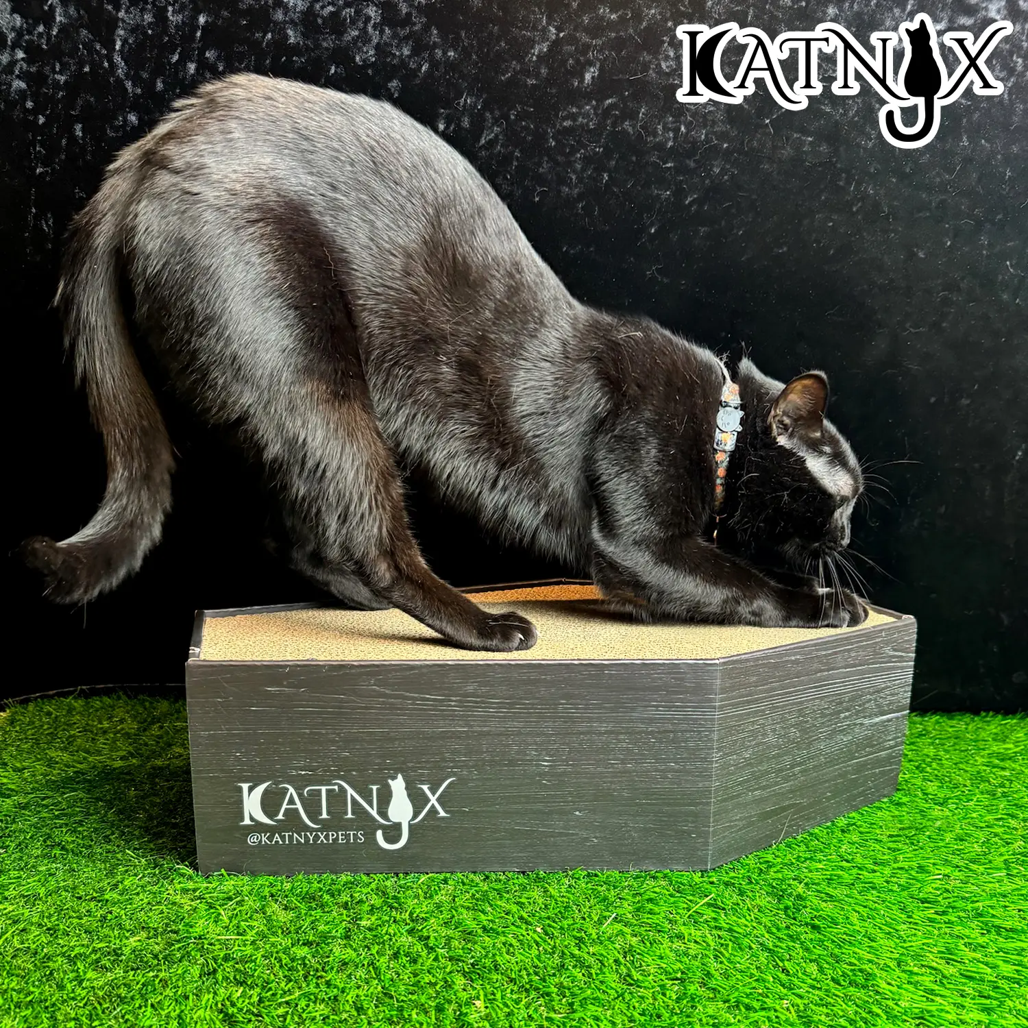 Katnyx Deluxe Cardboard Coffin Cat Scratcher with Four Reversible Refills for Ultimate Feline Style and Durability