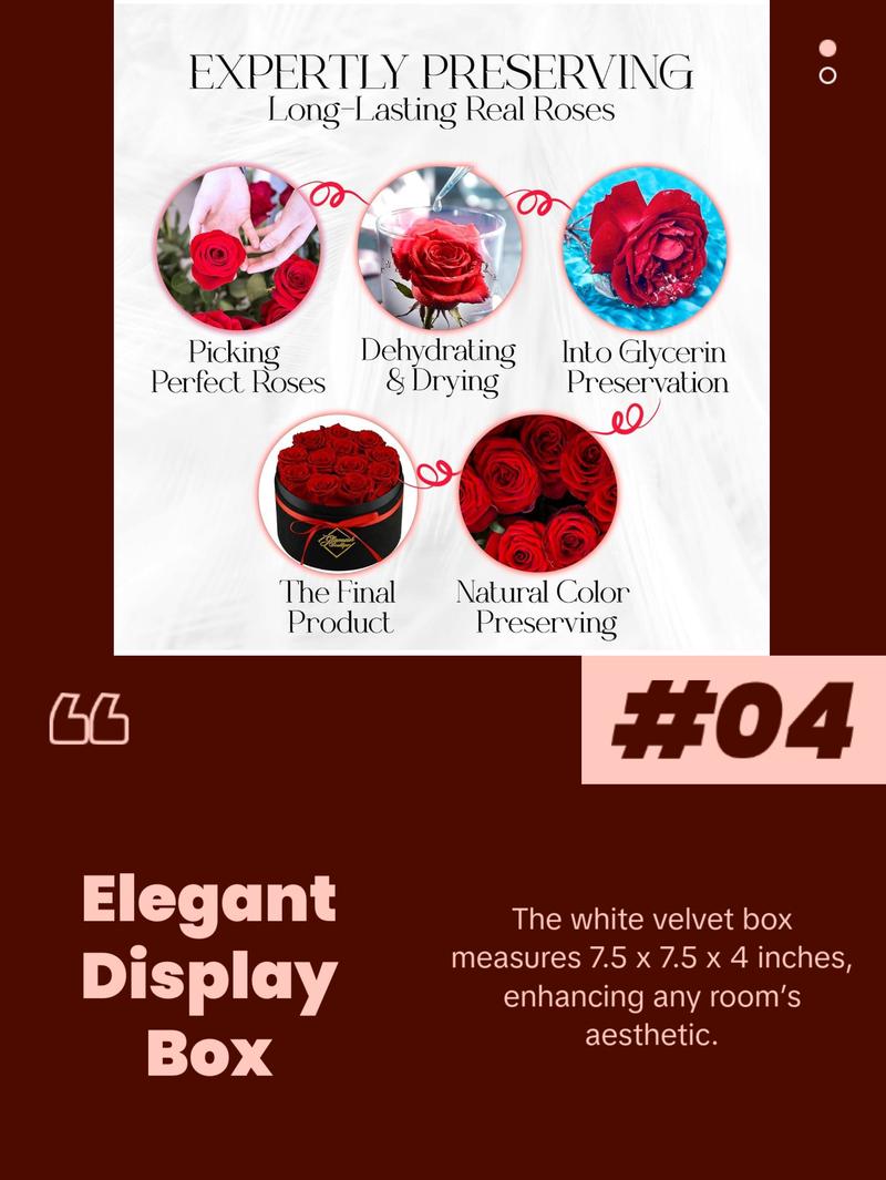 Eternal Prestige Velvet Black | 12 Red Roses Decor Box