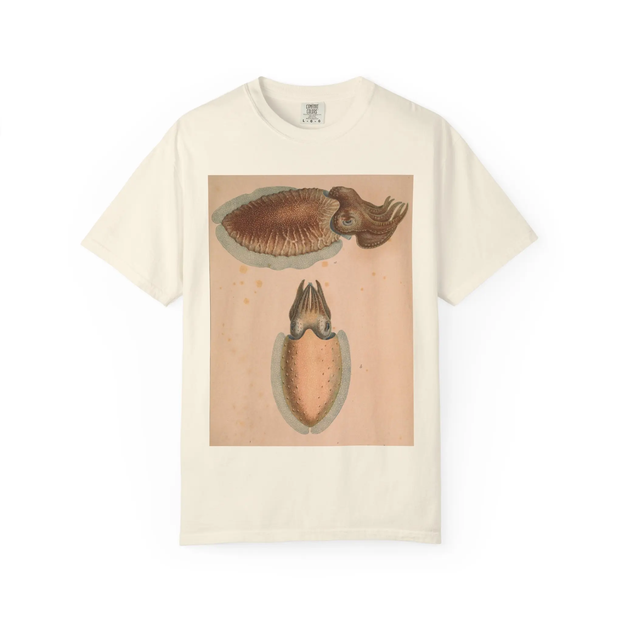 Vintage Cuttlefish Squid Octopus Illustration T-Shirt | Soft Sea Creature Art