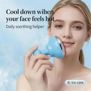Reusable Facial Ice Pack, Pre-Makeup Skin Refinement, Reduces Swelling, Revitalizes Skin, Lifts Contours, No Battery Needed