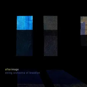Argus Quartet  Hughes  Maroney  The String Orchestra Of Brooklyn  Priday  Spindel - Afterimage  [COMPACT DISC - CD]
