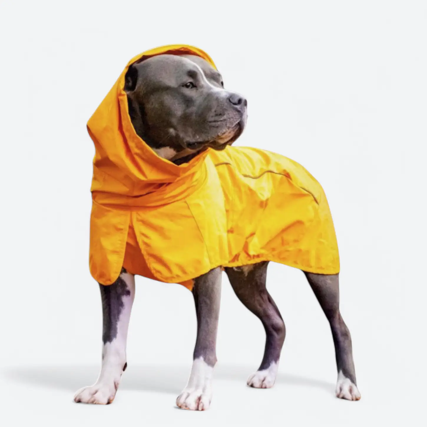 Spark Paws Breatheshield Dog Raincoat - Waterproof Windproof Rain Jacket, for Small Medium Large Extra Large Dogs, Reflective Full-Body Coverage Dry S