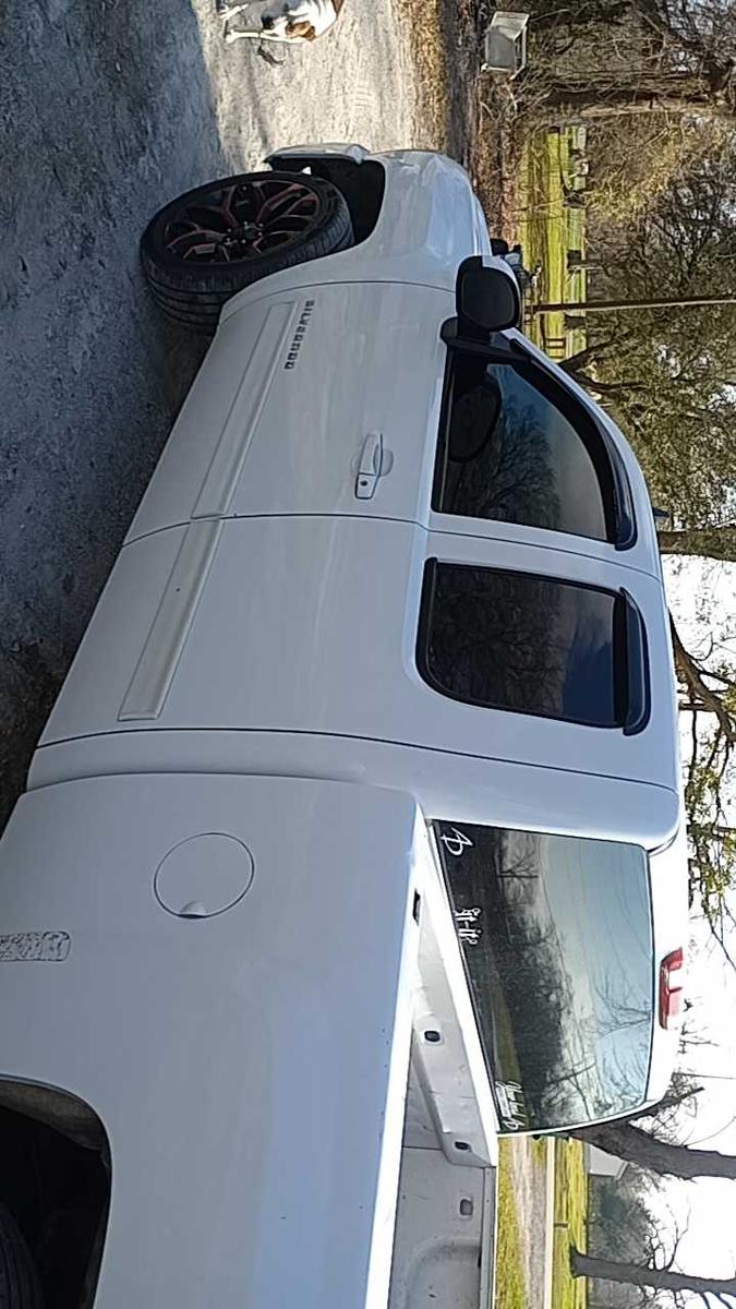 Item: 5%, 600CM/20FT