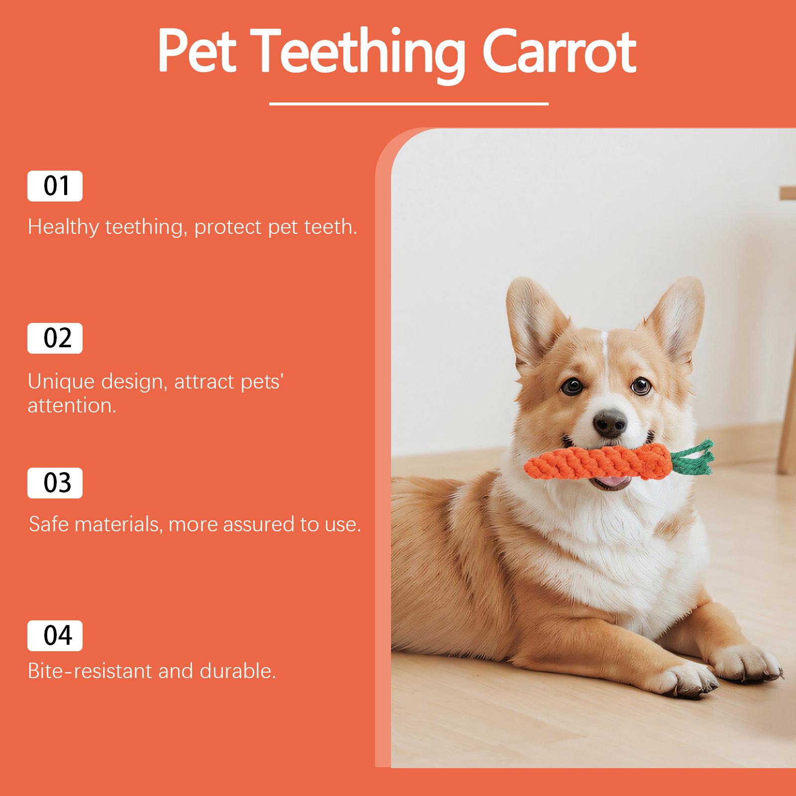 2-Pack EelJoy Pet Teething Carrots Cute Chewable Teethers for Dental Care and Bite Prevention