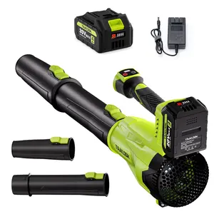 Cordless Leaf Blower 20V, Electric Air Blower with Lithium Battery, Portable Handheld Blower for Lawn Care, Garden, Patio, Yard Cleaning, Dust Removal, Snow Blower, Car Drying Tool