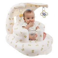 Baby Seat with Canopy and Toys