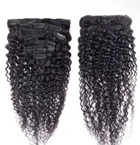 Raw Indian Curly Clip-Ins